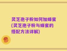 灵芝孢子粉如何加蜂蜜(灵芝孢子粉与蜂蜜的搭配方法详解)
