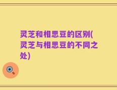 灵芝和相思豆的区别(灵芝与相思豆的不同之处)