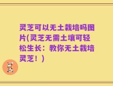 灵芝可以无土栽培吗图片(灵芝无需土壤可轻松生长：教你无土栽培灵芝！)