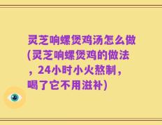 灵芝响螺煲鸡汤怎么做(灵芝响螺煲鸡的做法，24小时小火熬制，喝了它不用滋补)