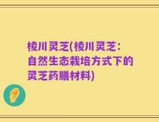 棱川灵芝(棱川灵芝：自然生态栽培方式下的灵芝药膳材料)