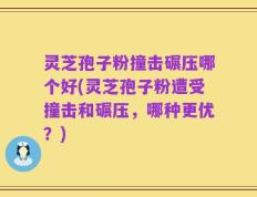 灵芝孢子粉撞击碾压哪个好(灵芝孢子粉遭受撞击和碾压，哪种更优？)