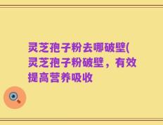 灵芝孢子粉去哪破壁(灵芝孢子粉破壁，有效提高营养吸收