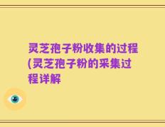 灵芝孢子粉收集的过程(灵芝孢子粉的采集过程详解
