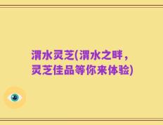 渭水灵芝(渭水之畔，灵芝佳品等你来体验)