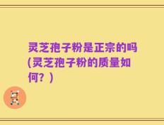 灵芝孢子粉是正宗的吗(灵芝孢子粉的质量如何？)