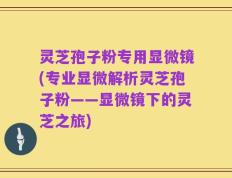 灵芝孢子粉专用显微镜(专业显微解析灵芝孢子粉——显微镜下的灵芝之旅)