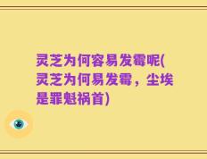 灵芝为何容易发霉呢(灵芝为何易发霉，尘埃是罪魁祸首)