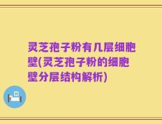 灵芝孢子粉有几层细胞壁(灵芝孢子粉的细胞壁分层结构解析)