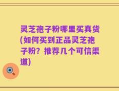 灵芝孢子粉哪里买真货(如何买到正品灵芝孢子粉？推荐几个可信渠道)