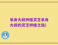 单身大叔种植灵芝单身大叔的灵芝种植之路)