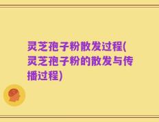 灵芝孢子粉散发过程(灵芝孢子粉的散发与传播过程)