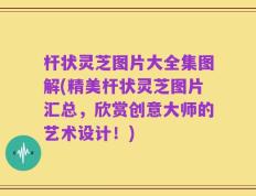 杆状灵芝图片大全集图解(精美杆状灵芝图片汇总，欣赏创意大师的艺术设计！)