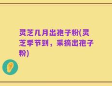 灵芝几月出孢子粉(灵芝季节到，采摘出孢子粉)