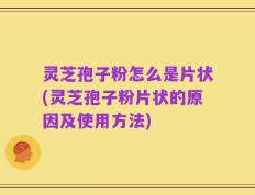 灵芝孢子粉怎么是片状(灵芝孢子粉片状的原因及使用方法)