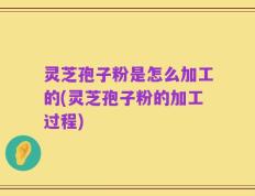 灵芝孢子粉是怎么加工的(灵芝孢子粉的加工过程)