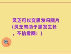 灵芝可以变黑发吗图片(灵芝有助于黑发生长，不信看图！)