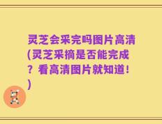 灵芝会采完吗图片高清(灵芝采摘是否能完成？看高清图片就知道！)