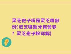 灵芝孢子粉是灵芝哪部份(灵芝哪部分有营养？灵芝孢子粉详解)