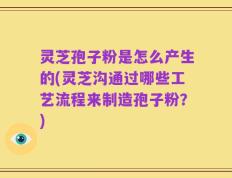 灵芝孢子粉是怎么产生的(灵芝沟通过哪些工艺流程来制造孢子粉？)