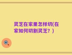 灵芝在家里怎样切(在家如何切割灵芝？)