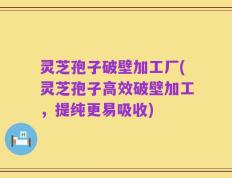 灵芝孢子破壁加工厂(灵芝孢子高效破壁加工，提纯更易吸收)