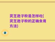 灵芝孢子粉是怎样吃(灵芝孢子粉的正确食用方法)
