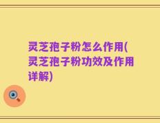 灵芝孢子粉怎么作用(灵芝孢子粉功效及作用详解)