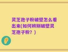 灵芝孢子粉破壁怎么看出来(如何辨别破壁灵芝孢子粉？)