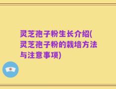 灵芝孢子粉生长介绍(灵芝孢子粉的栽培方法与注意事项)