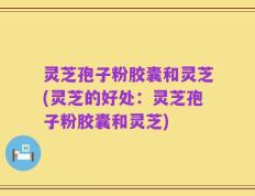 灵芝孢子粉胶囊和灵芝(灵芝的好处：灵芝孢子粉胶囊和灵芝)