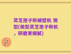 灵芝孢子粉破壁机 微型(微型灵芝孢子粉机，研磨更细腻)