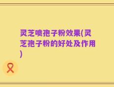 灵芝喷孢子粉效果(灵芝孢子粉的好处及作用)