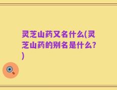 灵芝山药又名什么(灵芝山药的别名是什么？)