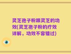 灵芝孢子粉跟灵芝的功效(灵芝孢子粉的疗效详解，功效不容错过)