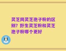 灵芝同灵芝孢子粉的区别？野生灵芝粉和灵芝孢子粉哪个更好