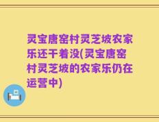 灵宝唐窑村灵芝坡农家乐还干着没(灵宝唐窑村灵芝坡的农家乐仍在运营中)