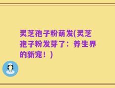灵芝孢子粉萌发(灵芝孢子粉发芽了：养生界的新宠！)