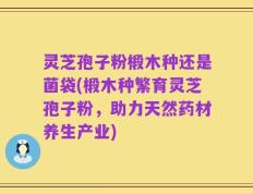 灵芝孢子粉椴木种还是菌袋(椴木种繁育灵芝孢子粉，助力天然药材养生产业)