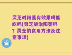 灵芝对阳萎有效果吗能吃吗(灵芝能治阳萎吗？灵芝的食用方法及注意事项)