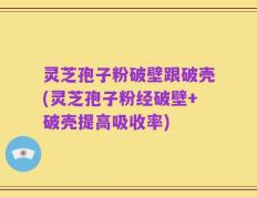 灵芝孢子粉破壁跟破壳(灵芝孢子粉经破壁+破壳提高吸收率)