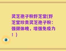 灵芝孢子粉野芝堂(野芝堂珍贵灵芝孢子粉：强健体魄，增强免疫力！)