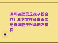 深圳破壁灵芝孢子粉合作？北芝堂在长白山灵芝破壁胞子粉基地怎样样