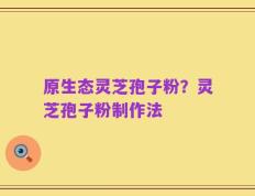 原生态灵芝孢子粉？灵芝孢子粉制作法