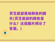 灵芝底部是啥颜色的图片(灵芝底部的颜色是什么？这张图片揭示了答案。)