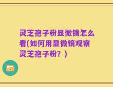灵芝孢子粉显微镜怎么看(如何用显微镜观察灵芝孢子粉？)