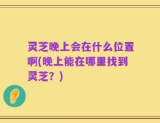 灵芝晚上会在什么位置啊(晚上能在哪里找到灵芝？)