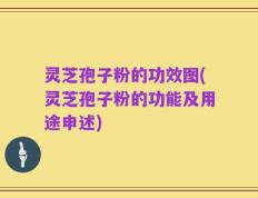灵芝孢子粉的功效图(灵芝孢子粉的功能及用途申述)