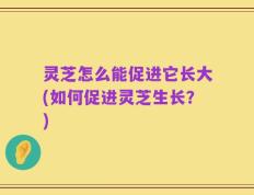 灵芝怎么能促进它长大(如何促进灵芝生长？)