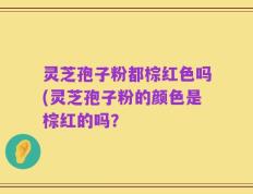 灵芝孢子粉都棕红色吗(灵芝孢子粉的颜色是棕红的吗？